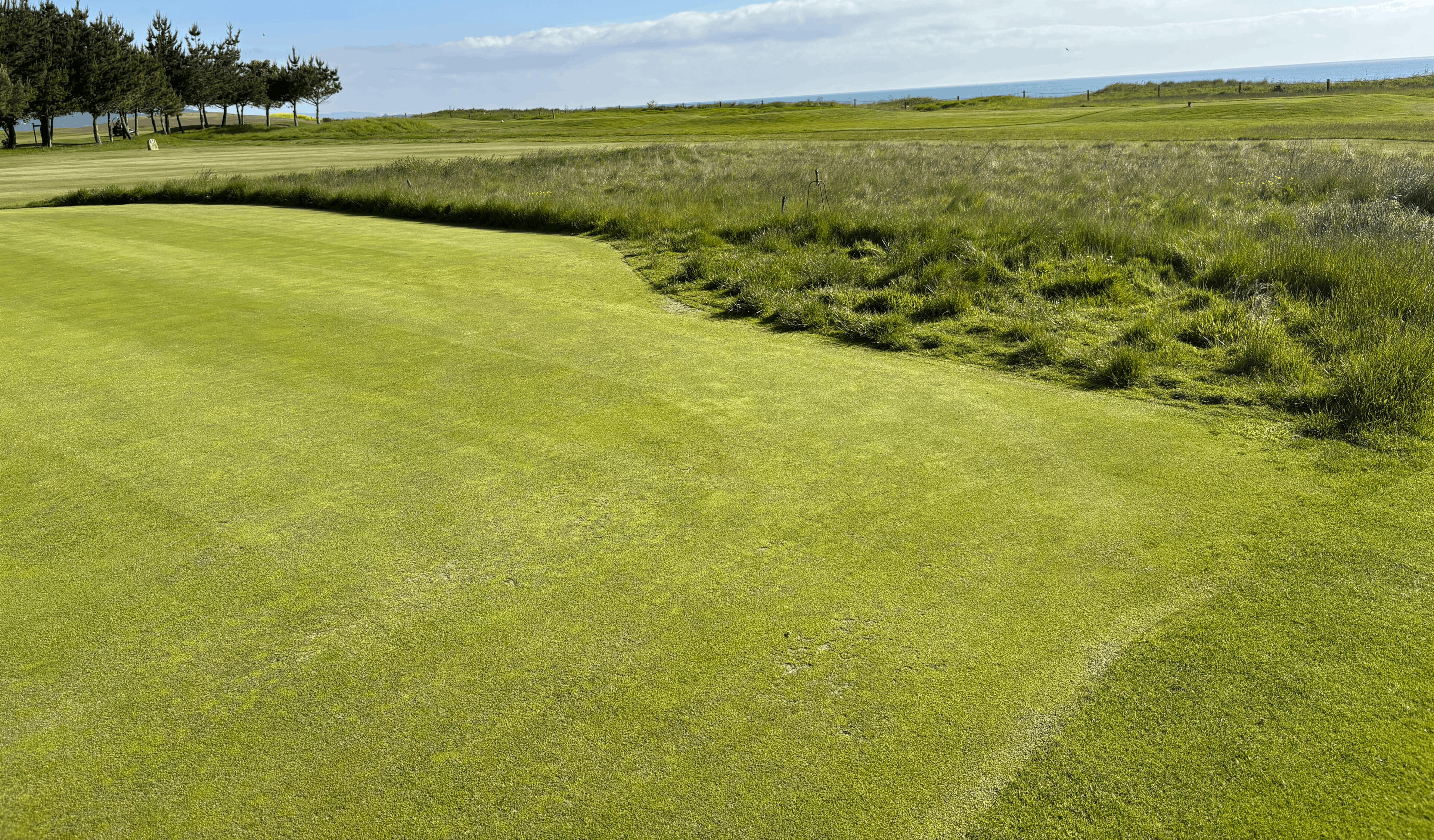Image of a links green golf course in Bray